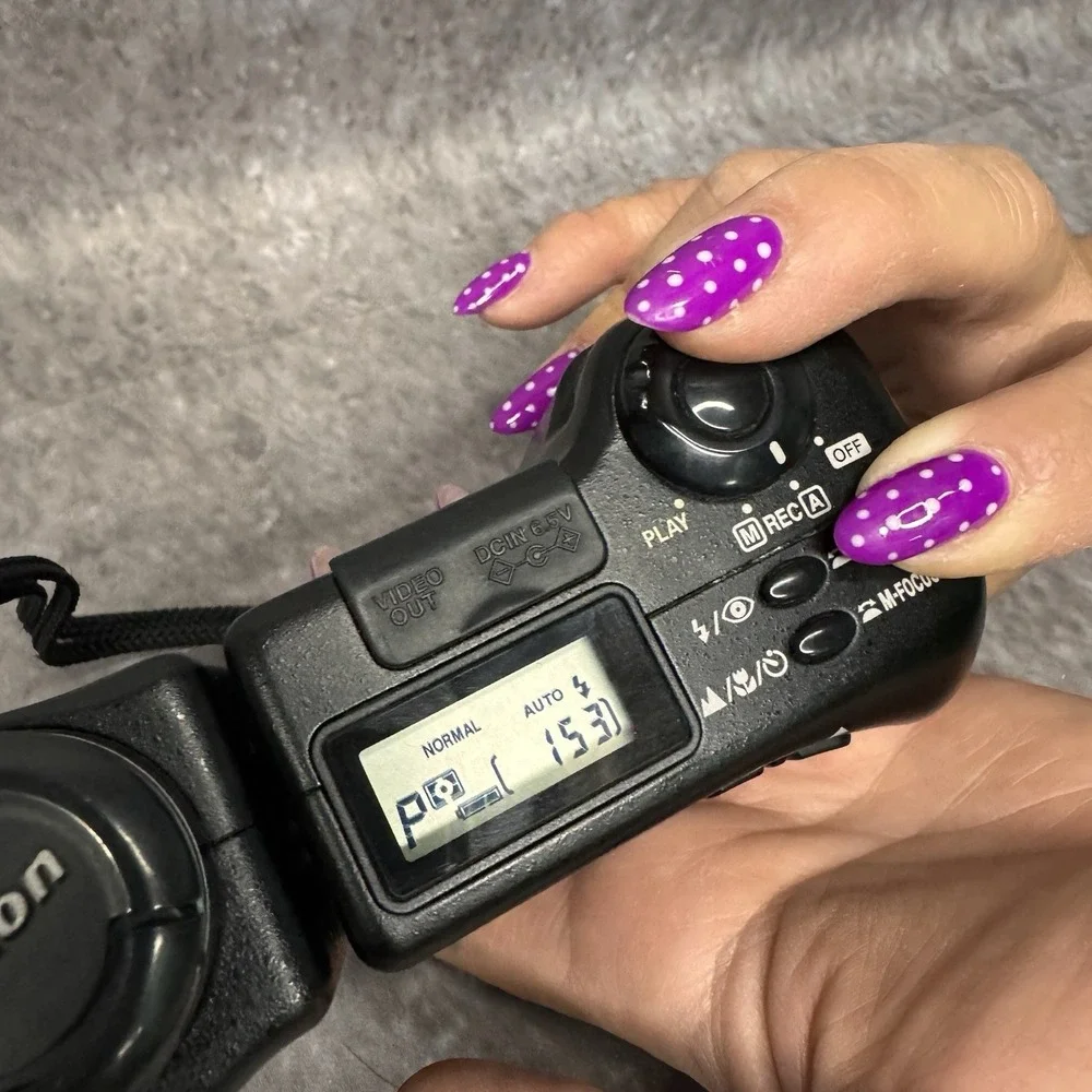 Nikon Coolpix 950 Digital Camera Working With Broken Battery Door Missing Pad
